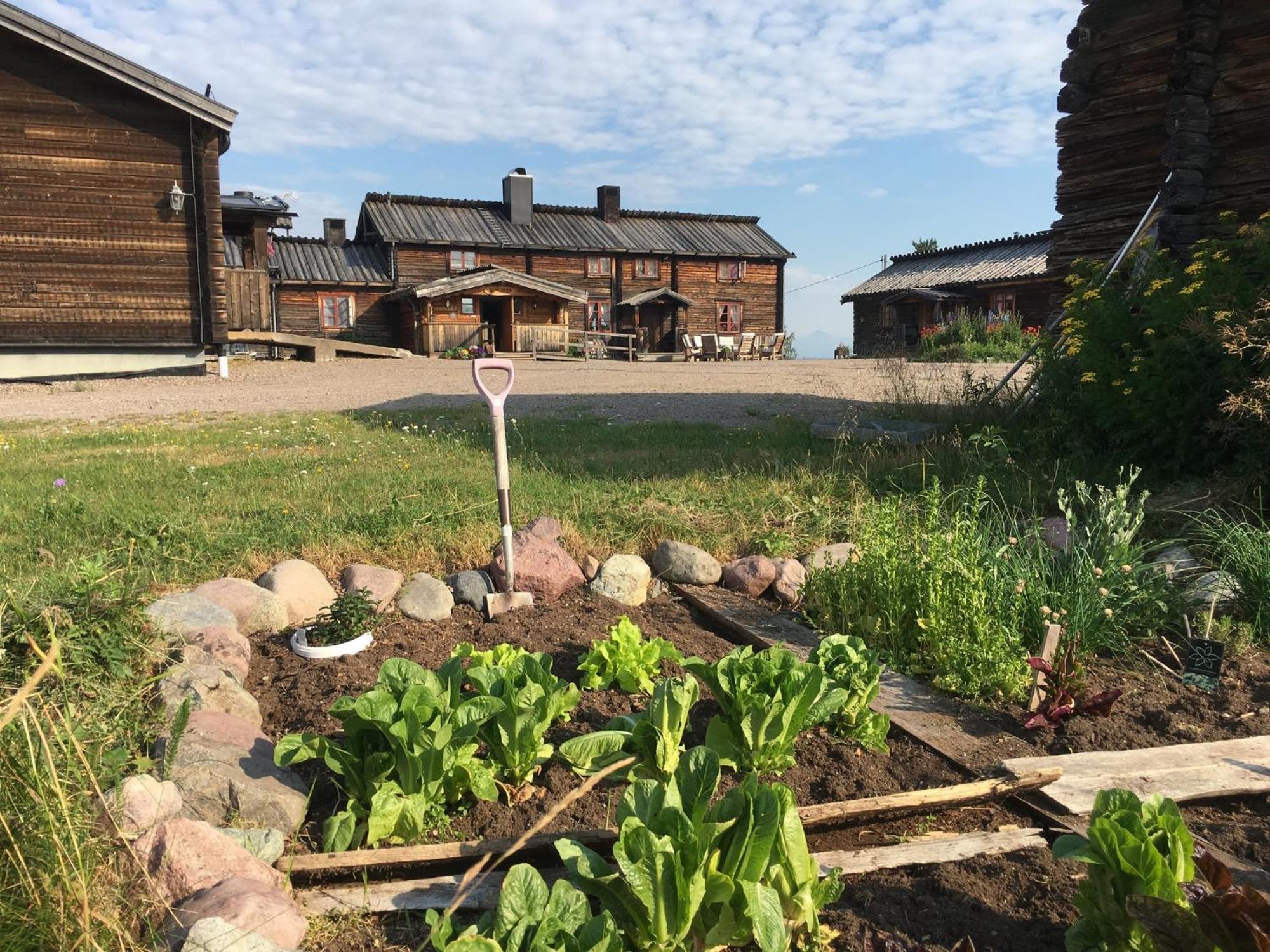 Knappgarden Särna Exterior photo