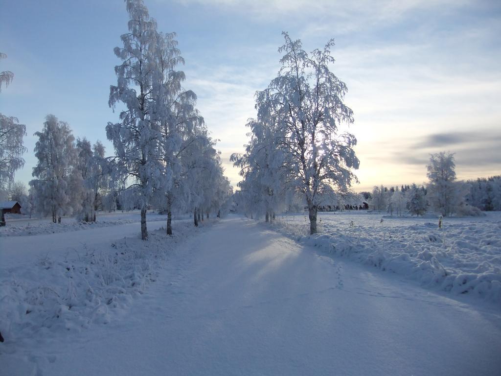 Knappgarden Särna Exterior photo